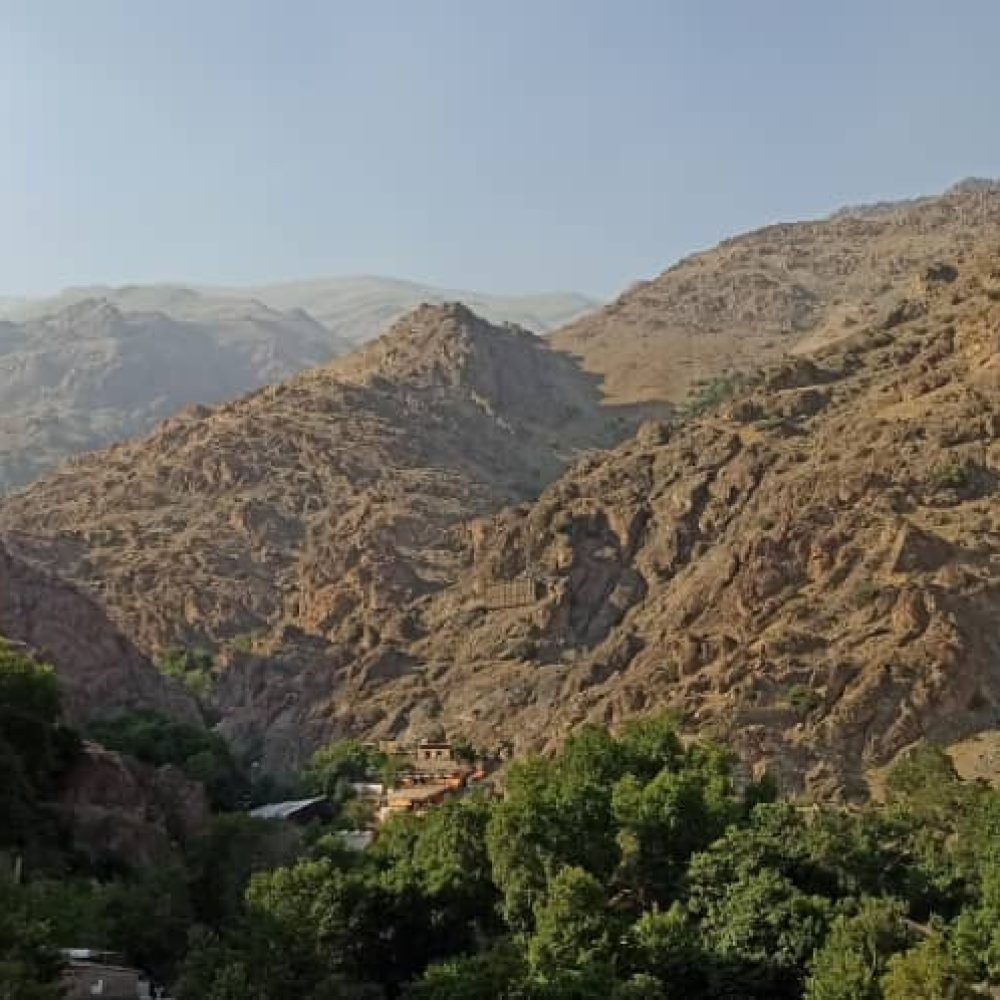 زندگی در وردآورد